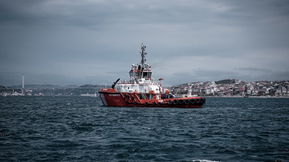 Kıyı Kentlerinde İki Kat Tehdit: Yükselen Deniz Seviyesine Bir de Zemin Çökmesi Eklendi