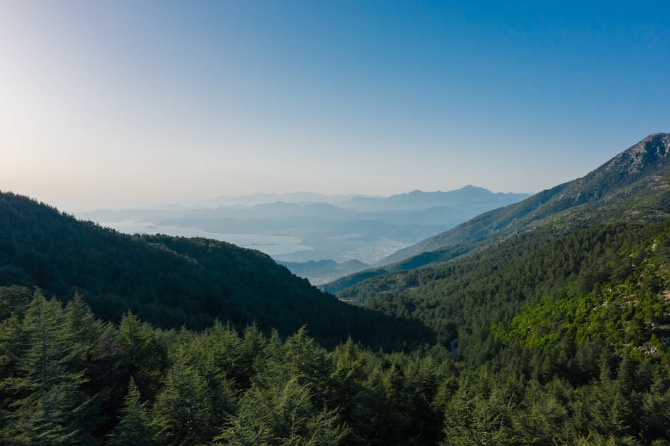 Muğla Ormanlarında Yangınla Mücadele İçin Yeni Önlemler Alındı