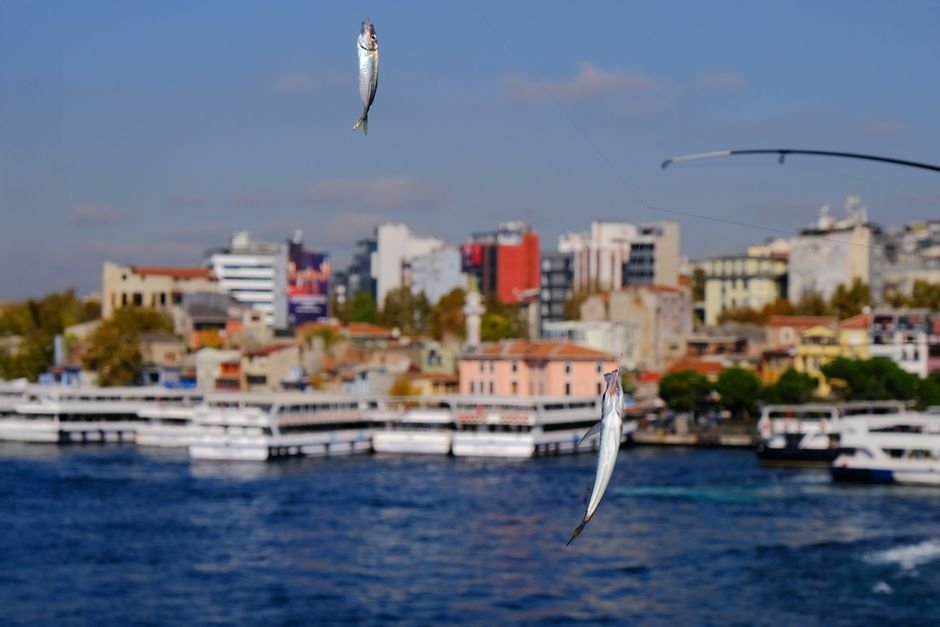 Gediz’de Balıklar Suskun, Sorumlular Nerede?