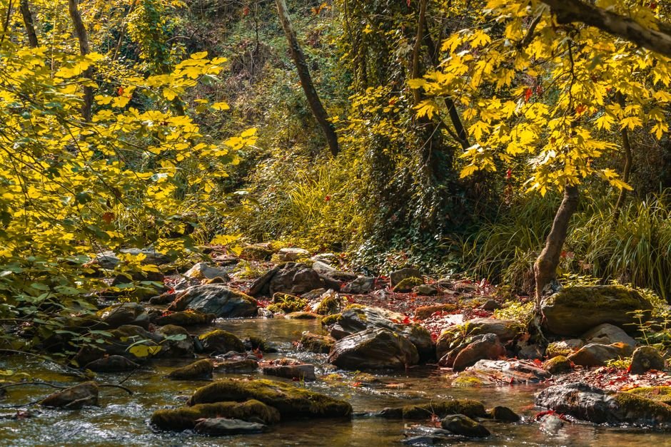 Manisa’da Gediz Nehri Kurudu: Saruhanlı ve Salihli’de Çiftçi Alarmda
