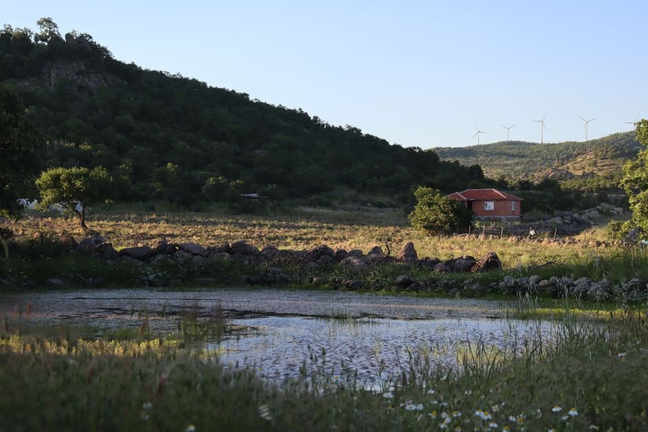 Manisa Ovası Yaz Yağışlarıyla Sınanıyor: Çiftçi Temkinli, Ürünler Riskte