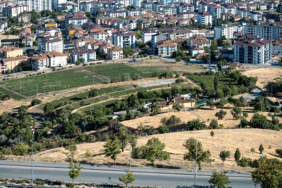 Üzüm Bağları ve Belirsizlik: Turgutlu’nun Zorlu Hasat Öncesi