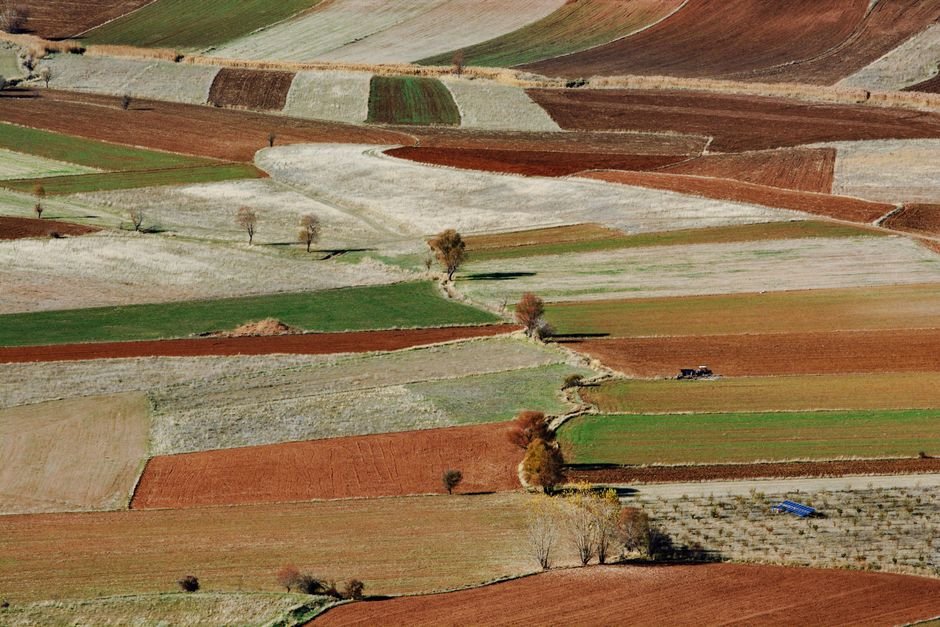 Manisa’da Üreticinin Yazı: Tarım ve Sanayide Zorlu Denge, Umutlu Bekleyiş