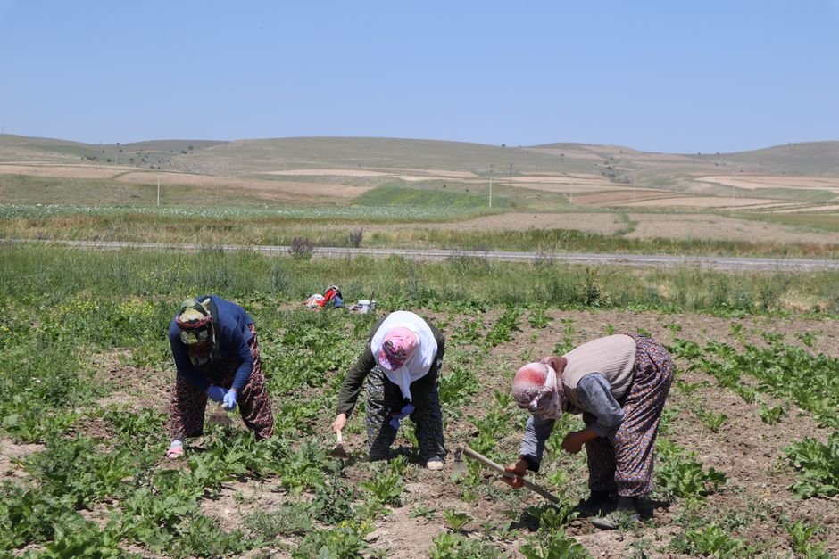 Yazın Ortasında Manevi Destek: Akhisar’da Psikolojik Danışmanlık Hizmeti